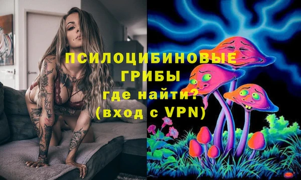 стаф Богородицк