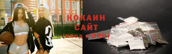 метадон Богданович