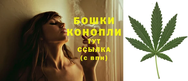 стаф Богородицк