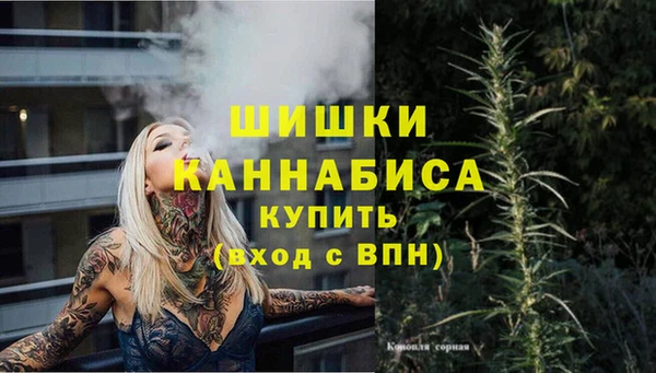 метадон Богданович