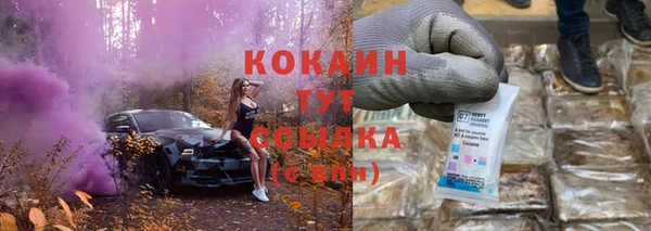 метадон Богданович