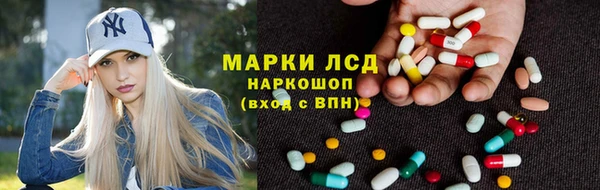 стаф Богородицк