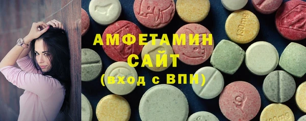 метадон Богданович
