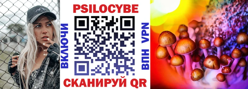 блэк спрут   Копейск  Галлюциногенные грибы Psilocybe 